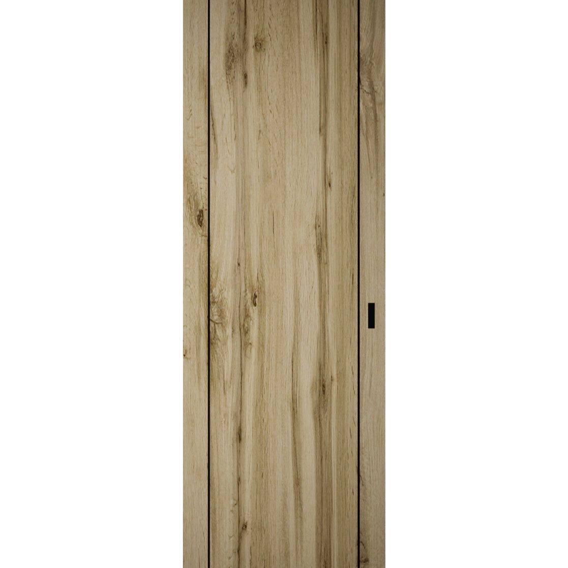 Lumina 0017 Hidden Barn door view 5
