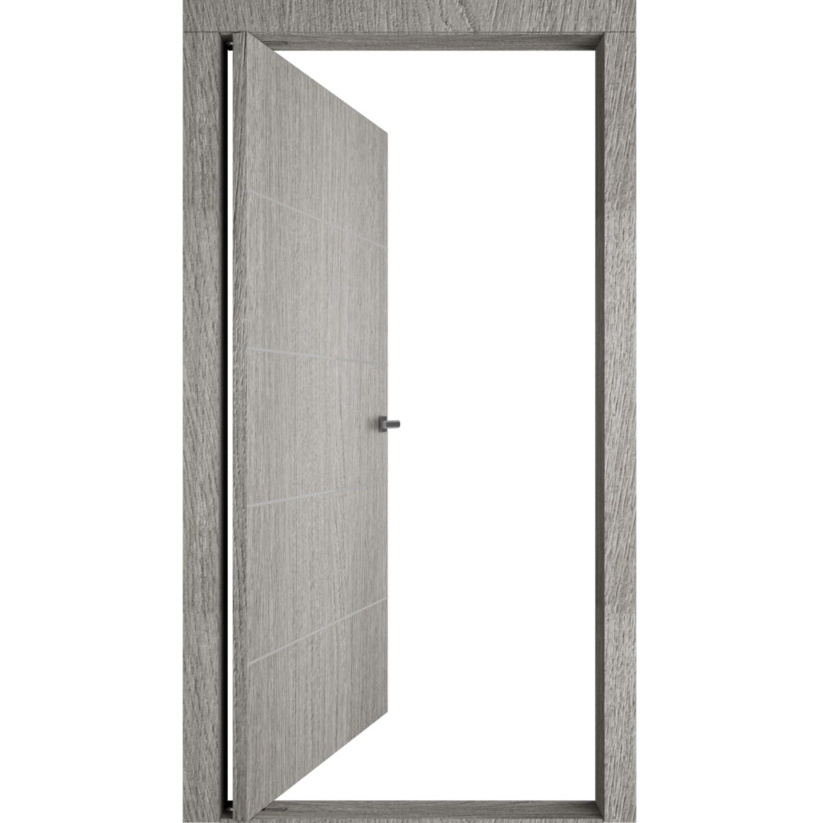 Lumina 0020 Interior Pivot door view 2
