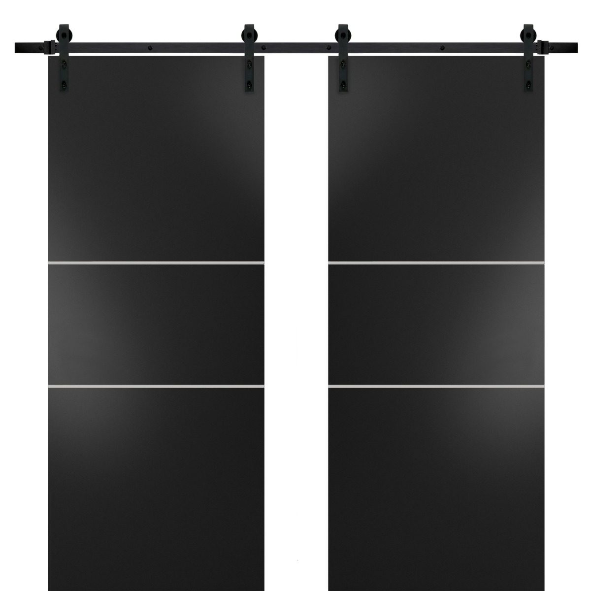 Lumina 0110 Double Barn door — Doors Near Me, Los Angeles