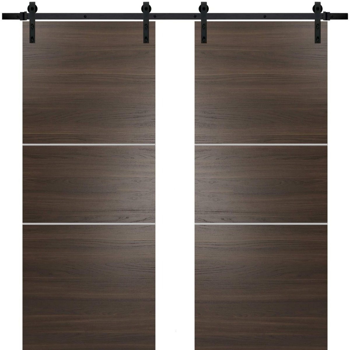 Lumina 0110 Double Barn door view 5