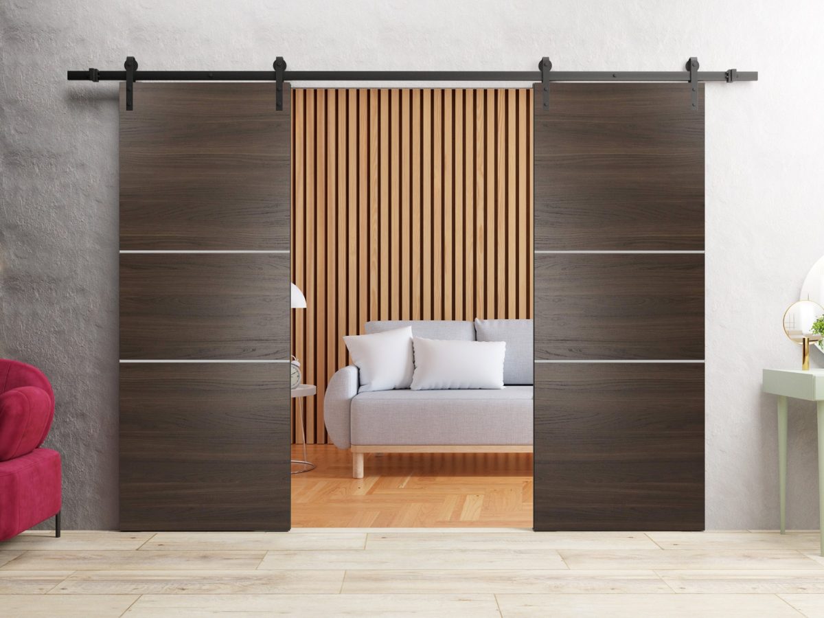Lumina 0110 Double Barn door view 6