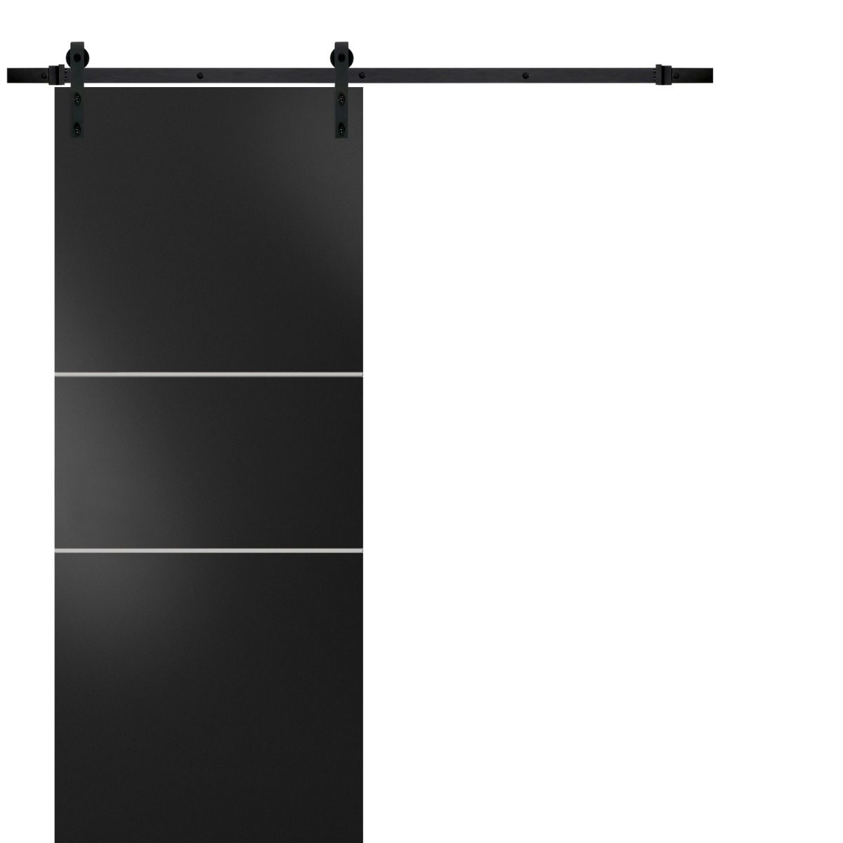 Lumina 0110 Barn door — Doors Near Me, Los Angeles