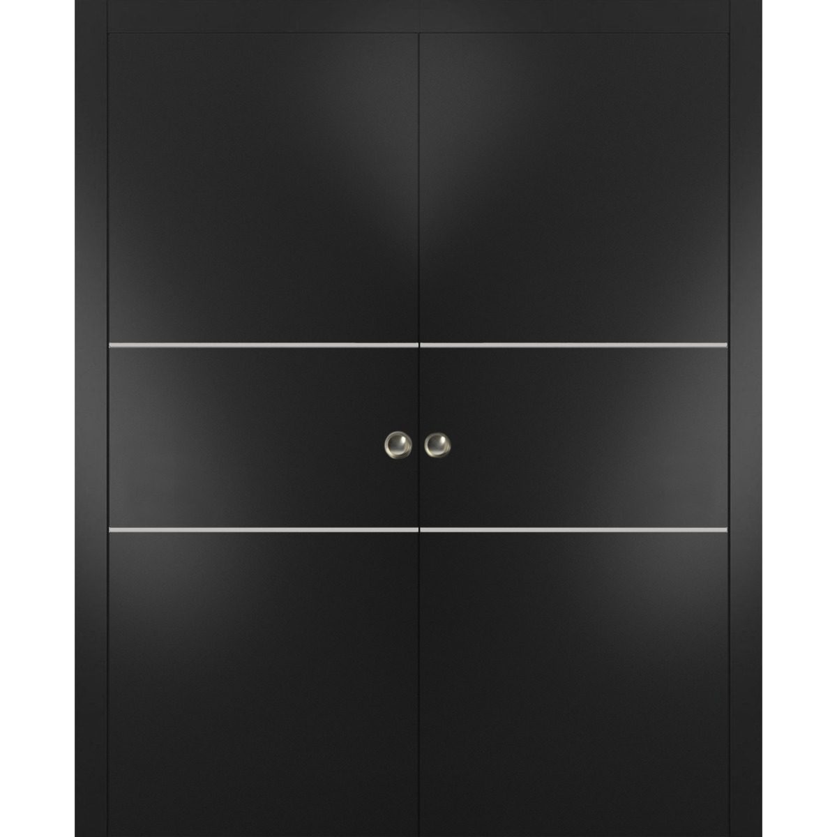 Lumina 0110 Double Pocket door — Doors Near Me, Los Angeles