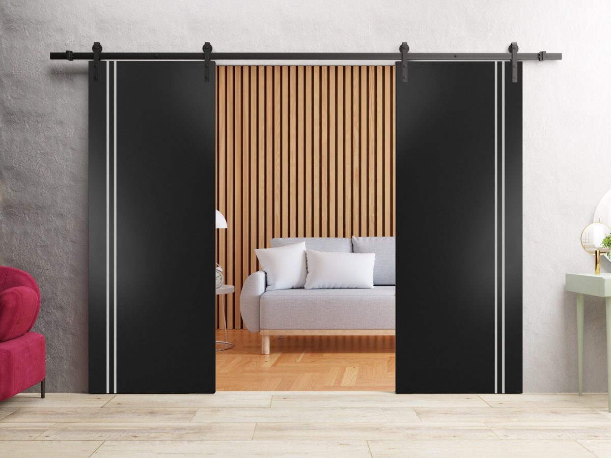 Lumina 0310 Double Barn door view 2
