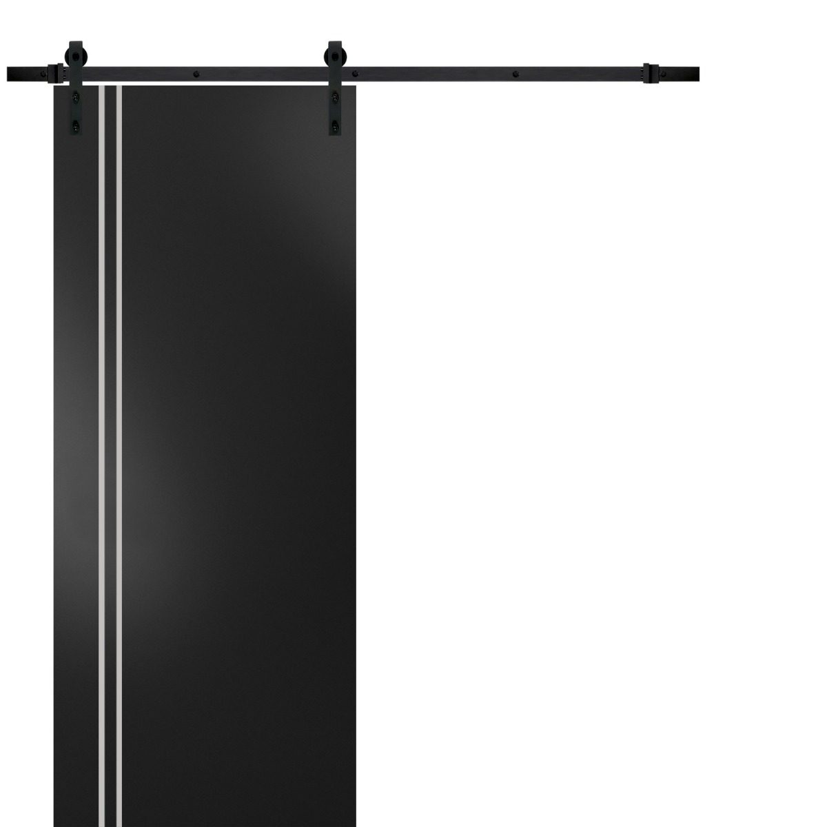 Lumina 0310 Barn door — Doors Near Me, Los Angeles