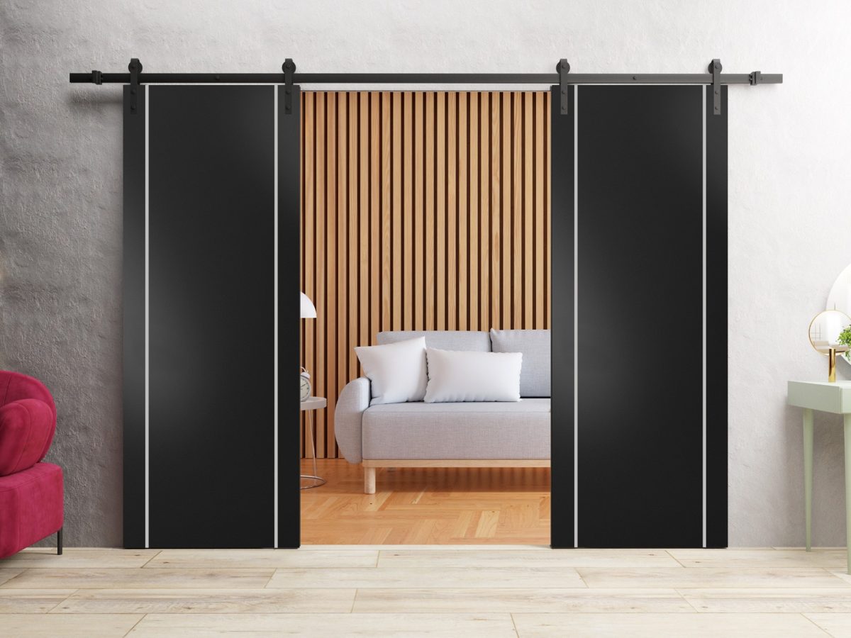 Lumina 0410 Double Barn door view 2