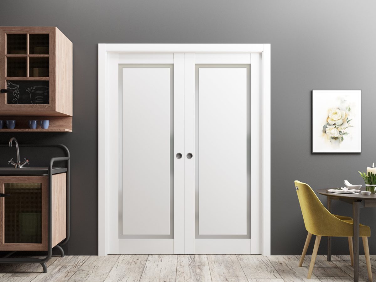 Lumina 0888 Double Pocket door view 2