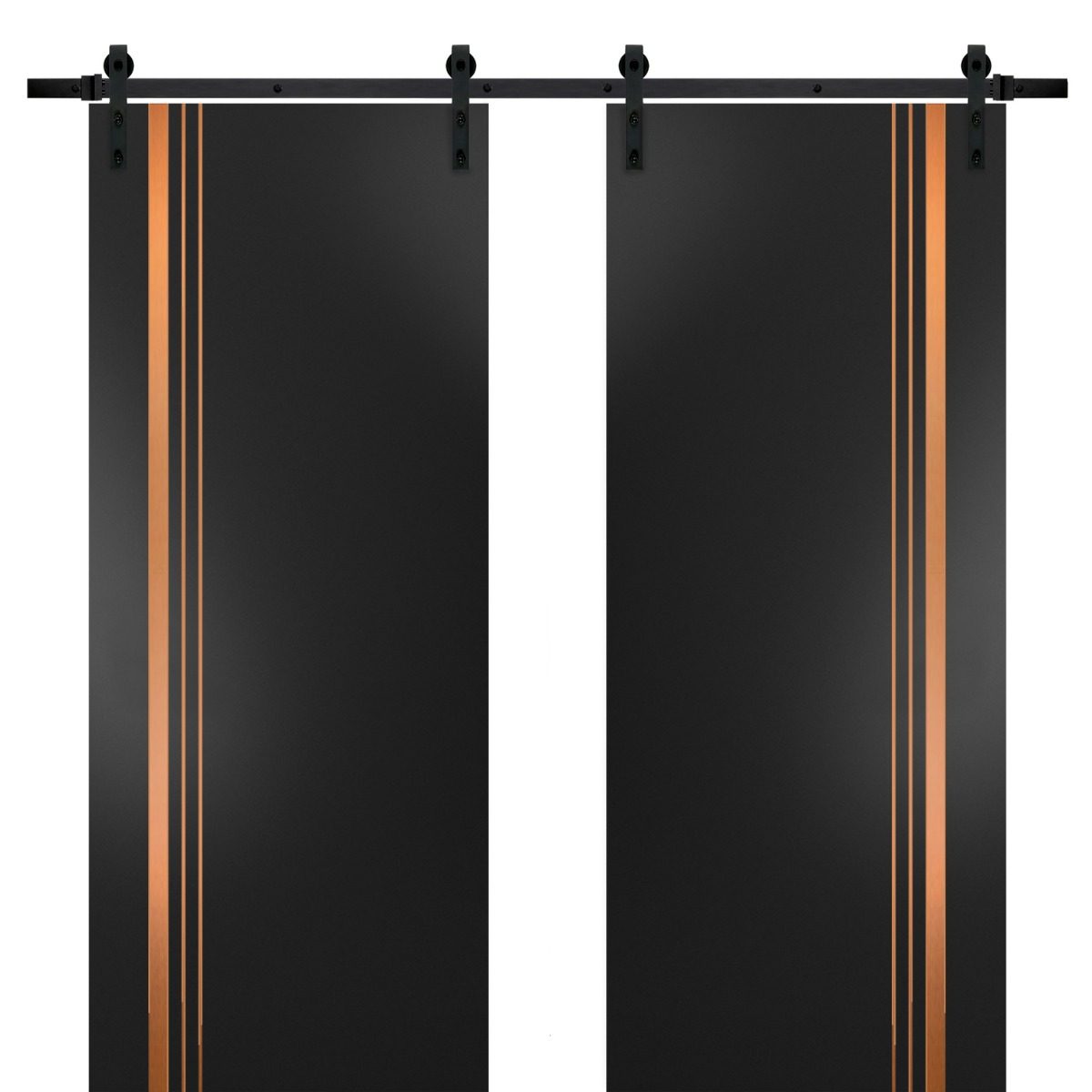 Lumina 1010 Double Barn door — Doors Near Me, Los Angeles