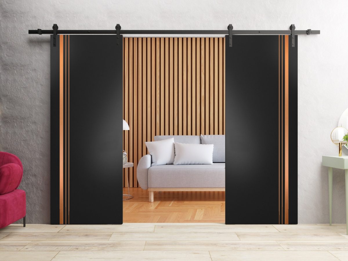 Lumina 1010 Double Barn door view 2