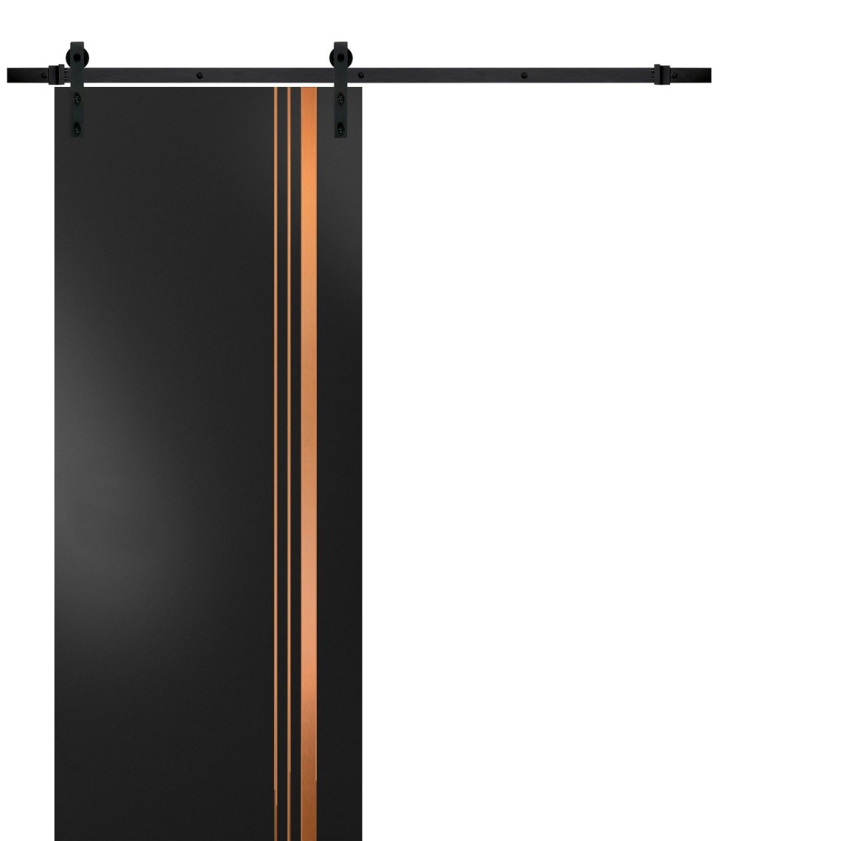 Lumina 1010 Barn door — Doors Near Me, Los Angeles
