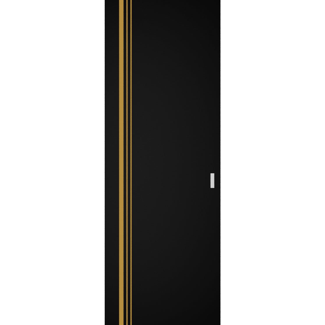 Lumina 1010 Hidden Barn door — Doors Near Me, Los Angeles