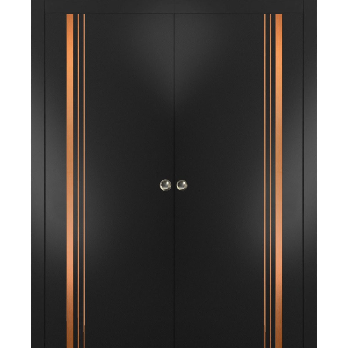 Lumina 1010 Double Pocket door — Doors Near Me, Los Angeles
