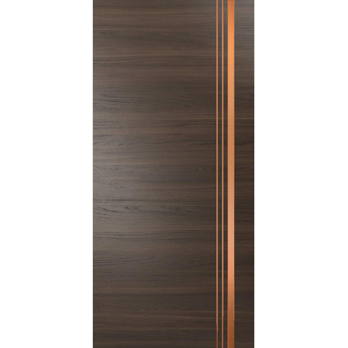 Lumina 1010 Interior Slab door view 5
