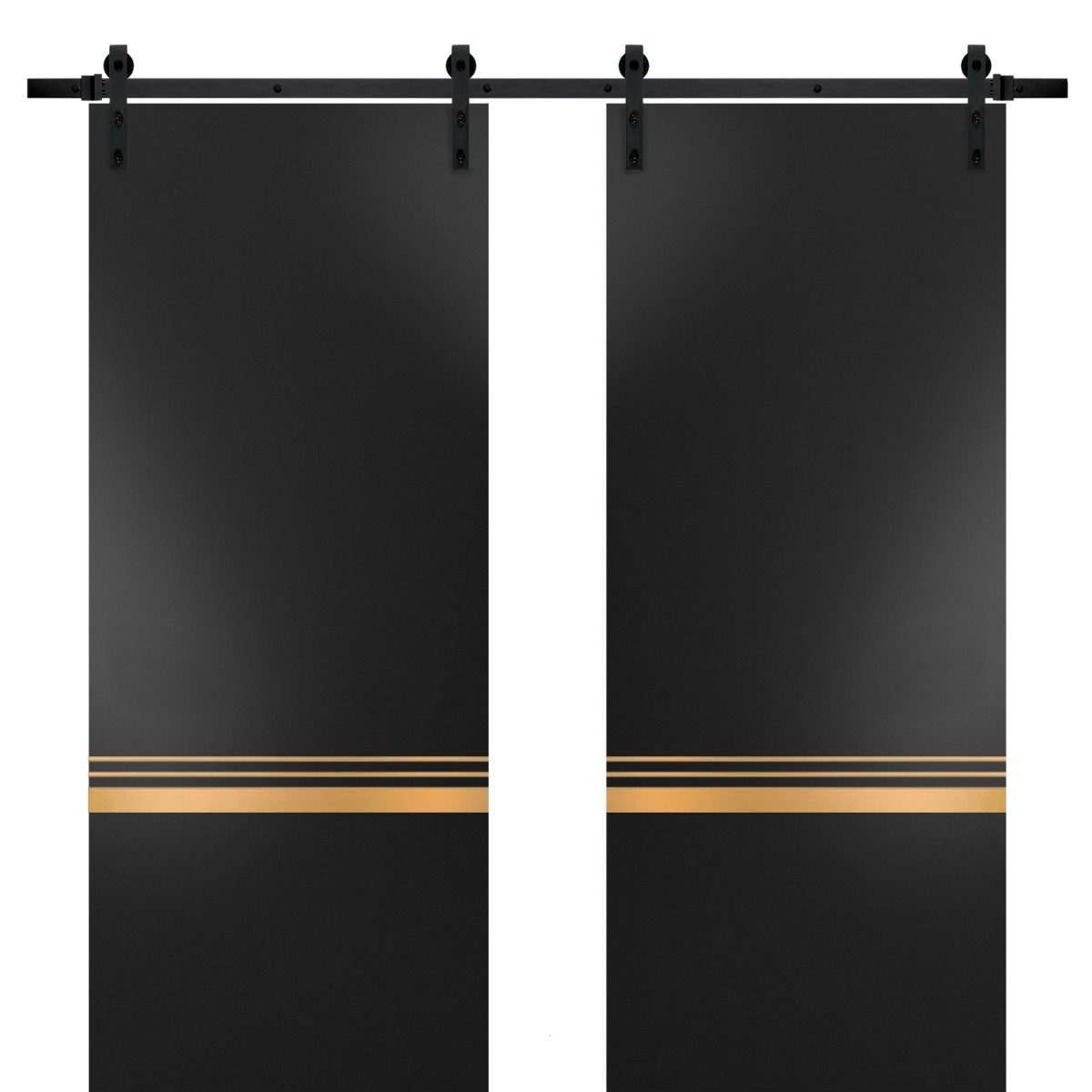 Lumina 2010 Double Barn door — Doors Near Me, Los Angeles