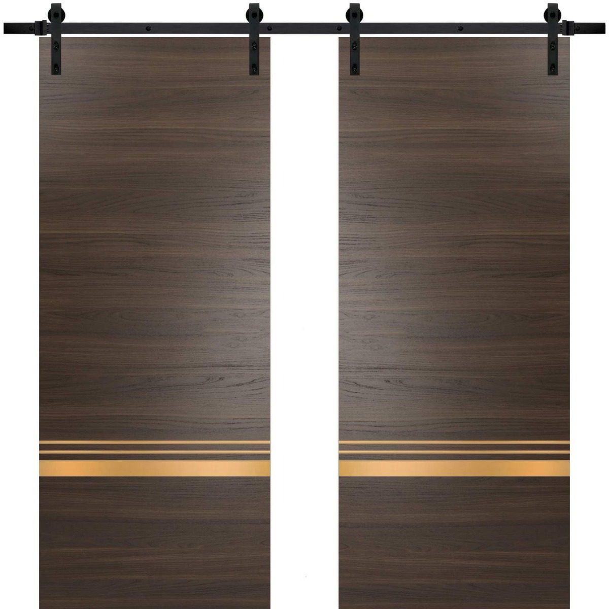 Lumina 2010 Double Barn door view 5