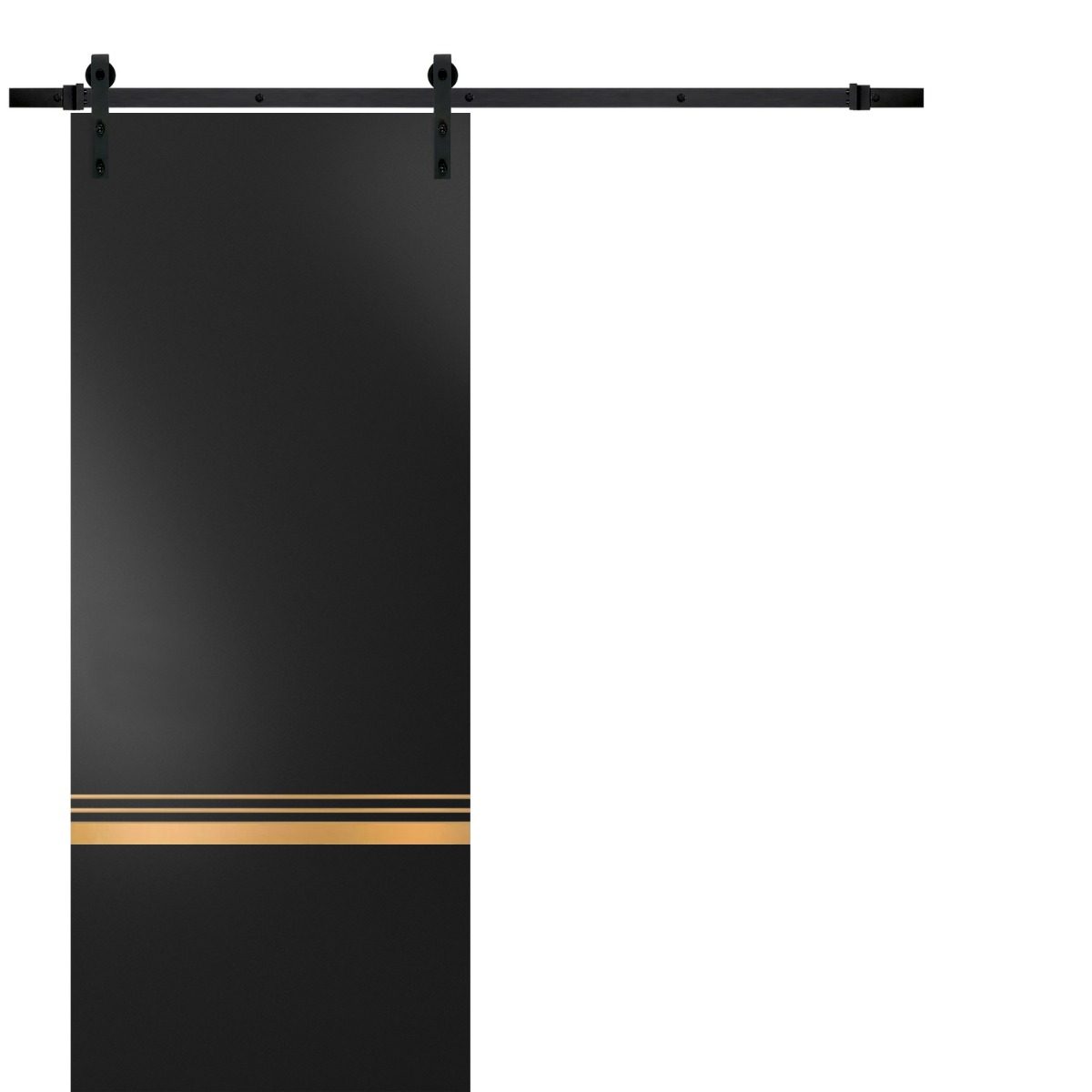 Lumina 2010 Barn door — Doors Near Me, Los Angeles