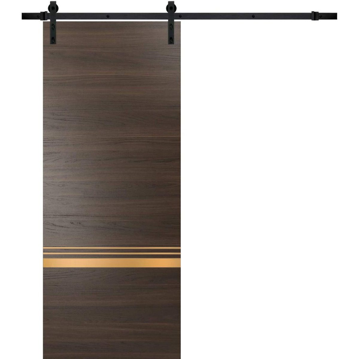 Lumina 2010 Barn door view 5
