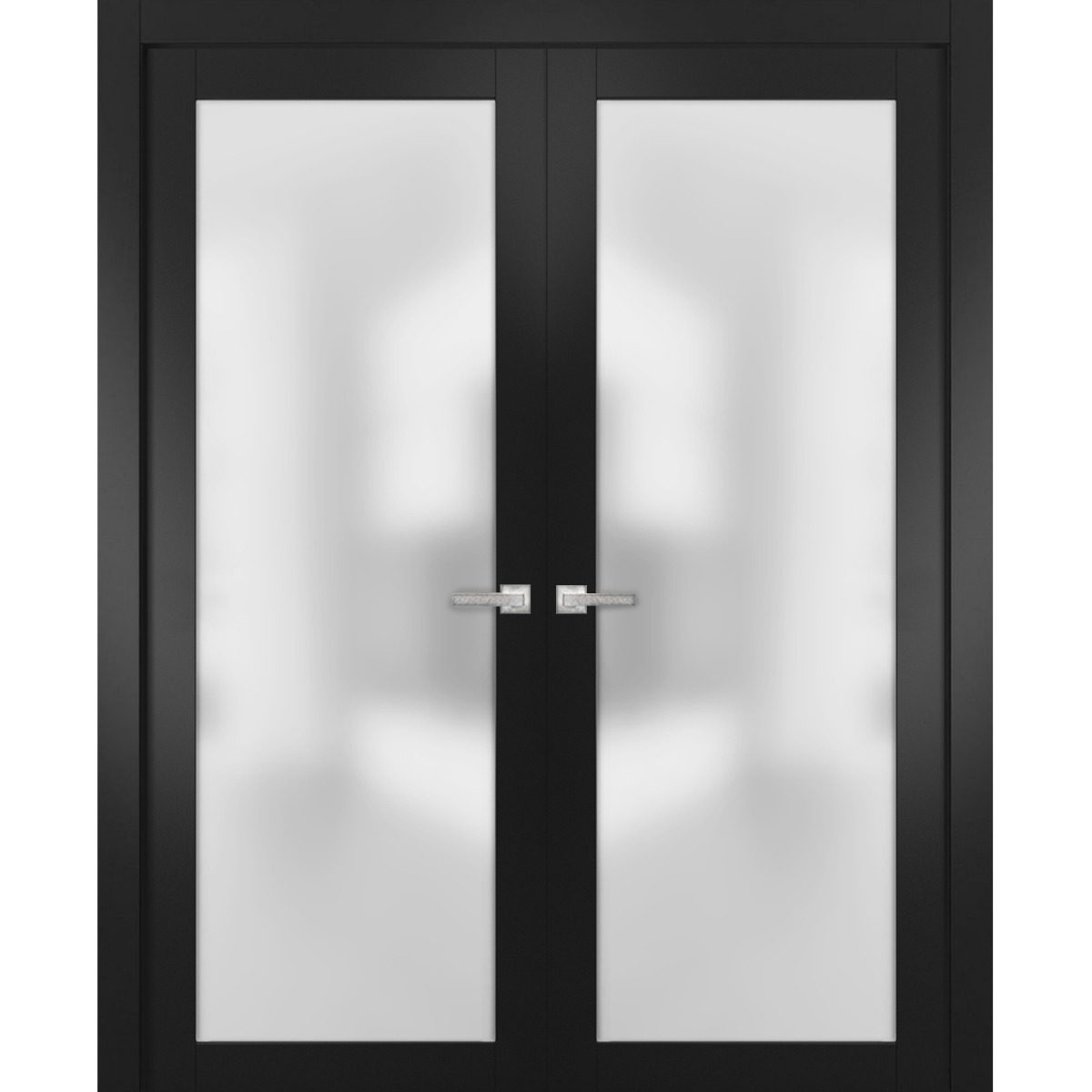 Lumina 2102 Double French Swing door view 2