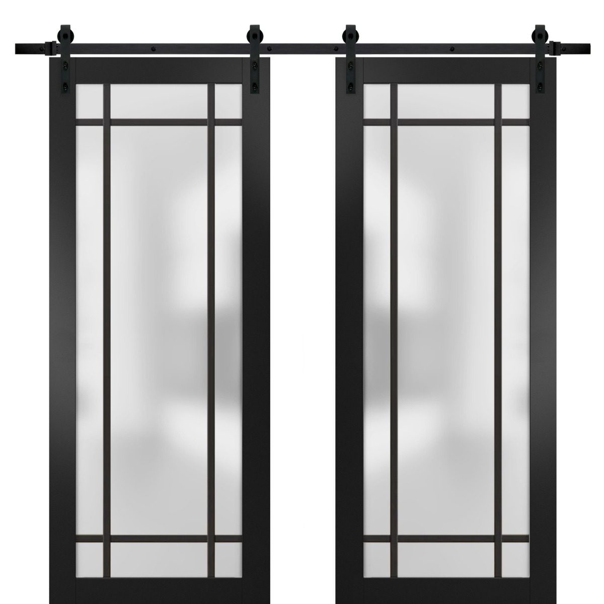 Lumina 2112 Double Barn door — Doors Near Me, Los Angeles