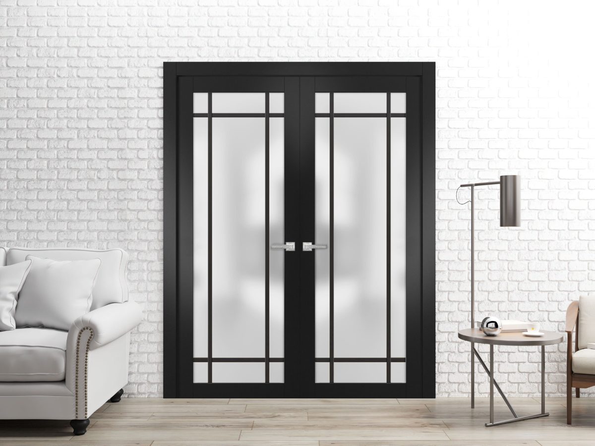 Lumina 2112 Double French Swing door view 2