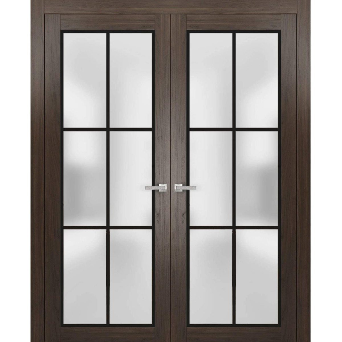 Lumina 2122 Double French Swing door view 5