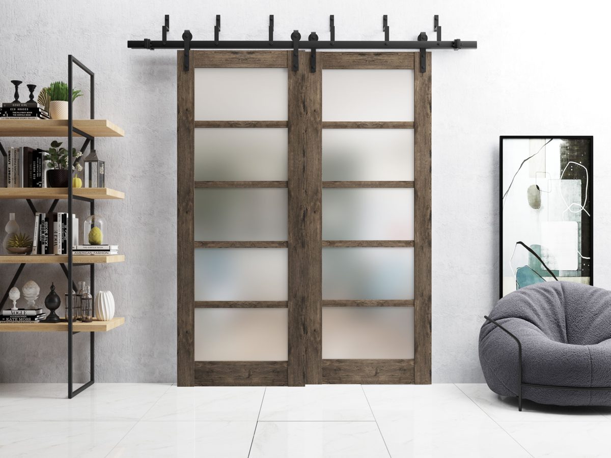 Linea 4002 Double Barn — Bypass door view 2