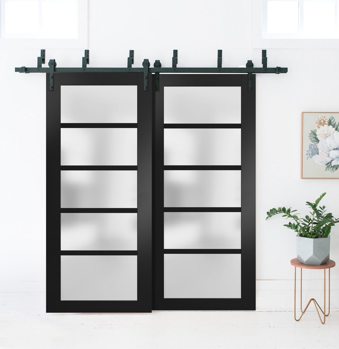 Linea 4002 Double Barn — Bypass door view 6
