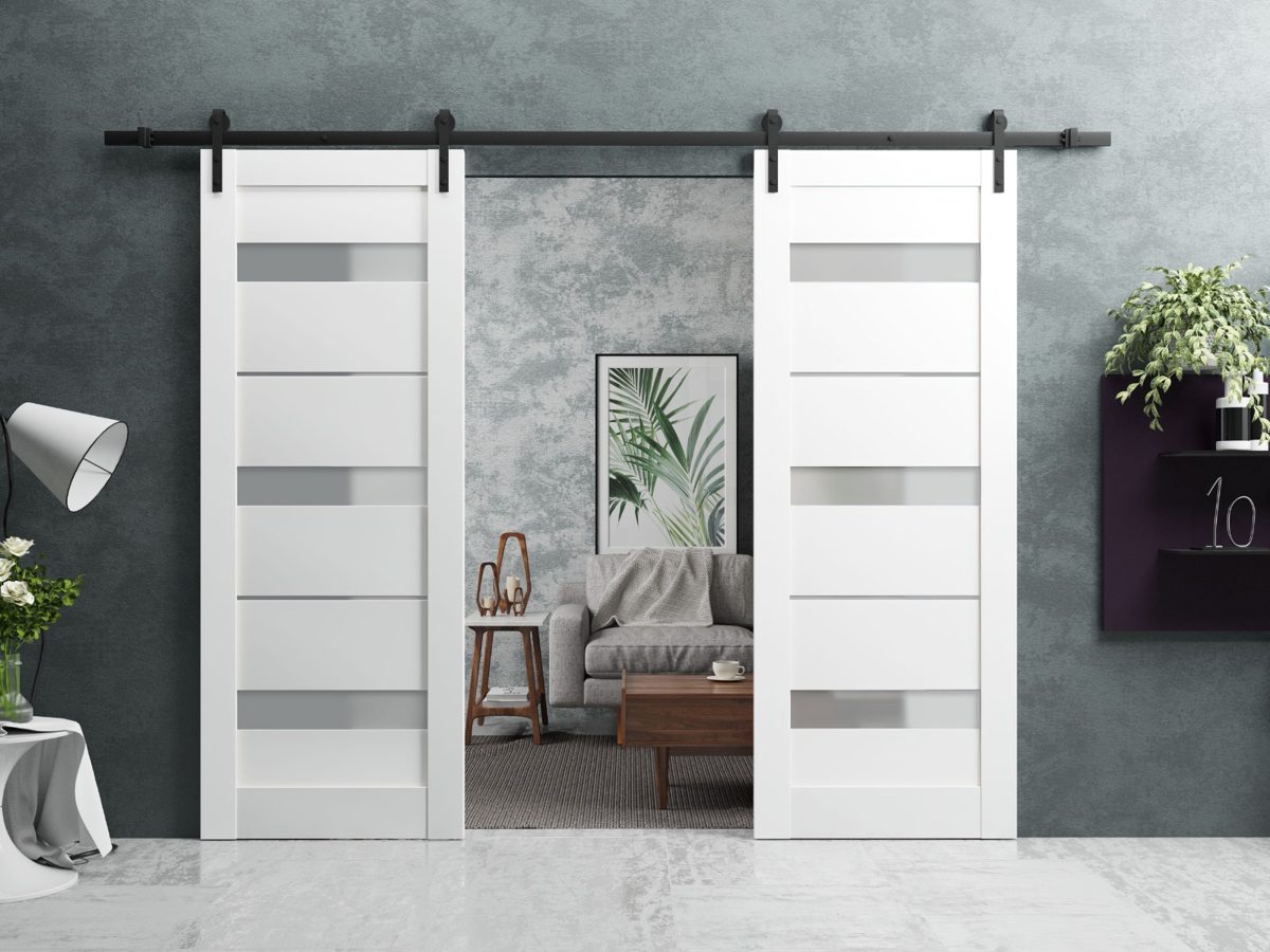 Linea 4055 Double Barn door view 2