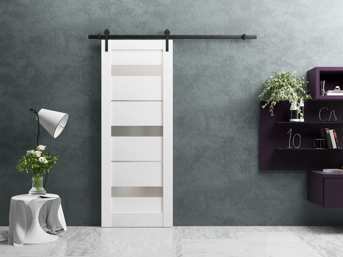Linea 4055 Barn door view 2