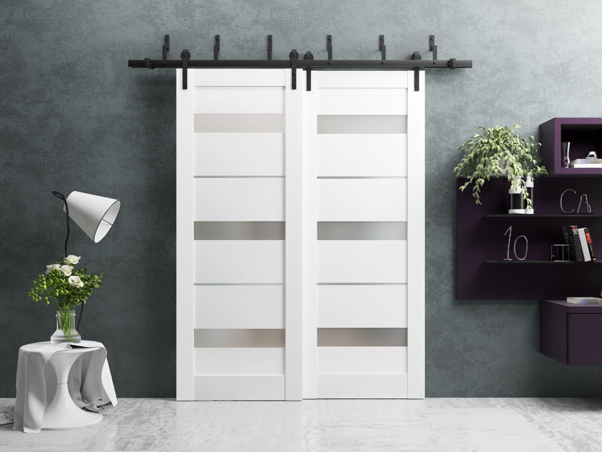 Linea 4055 Double Barn — Bypass door view 2