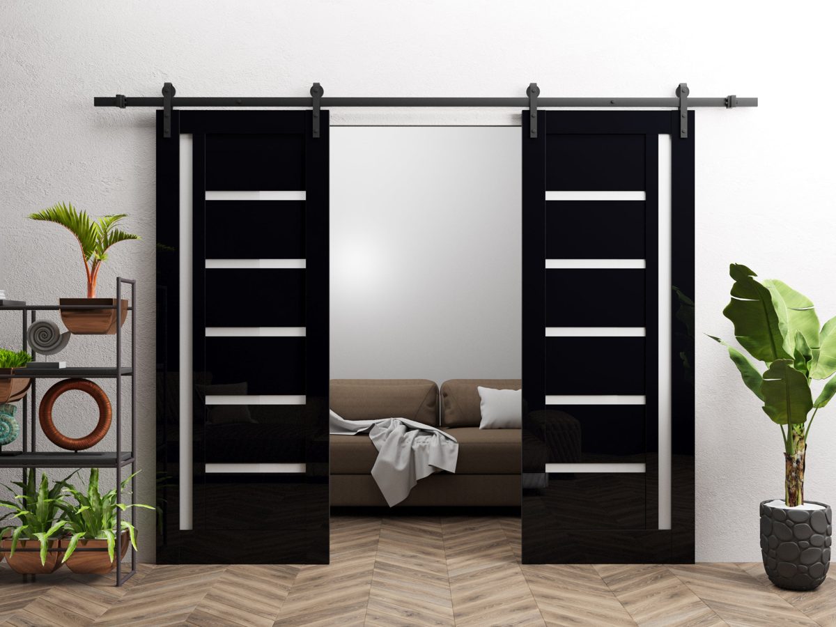 Linea 4088 Double Barn door view 6