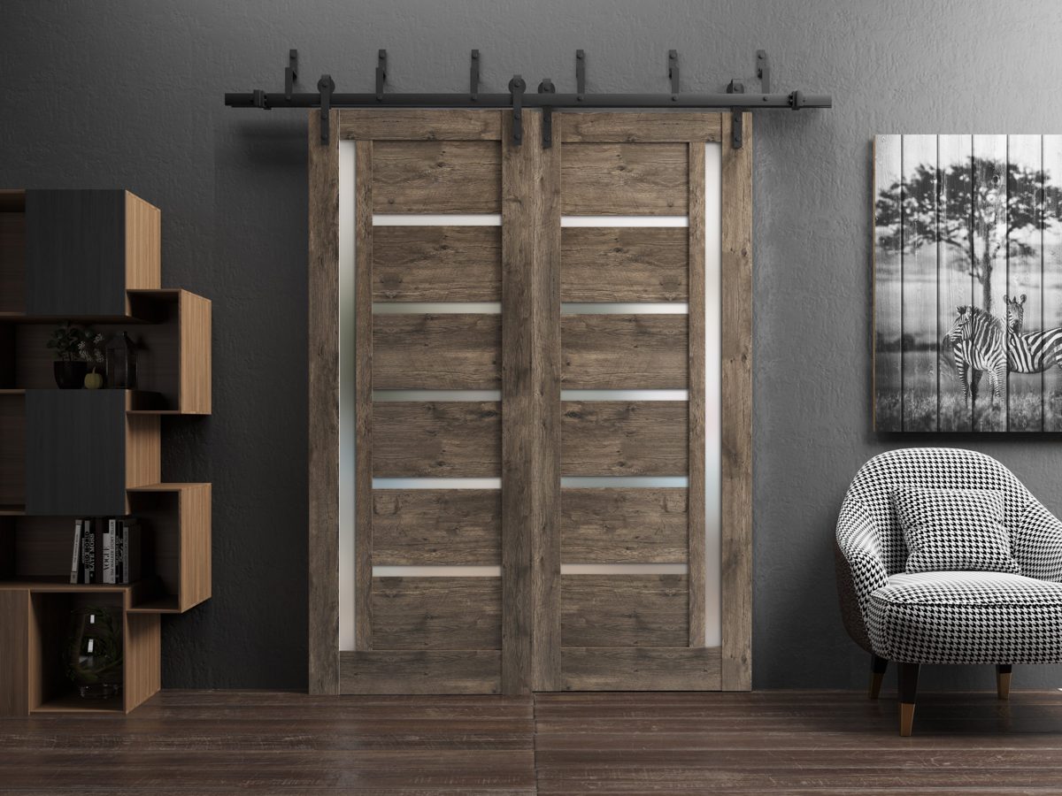 Linea 4088 Double Barn — Bypass door view 2