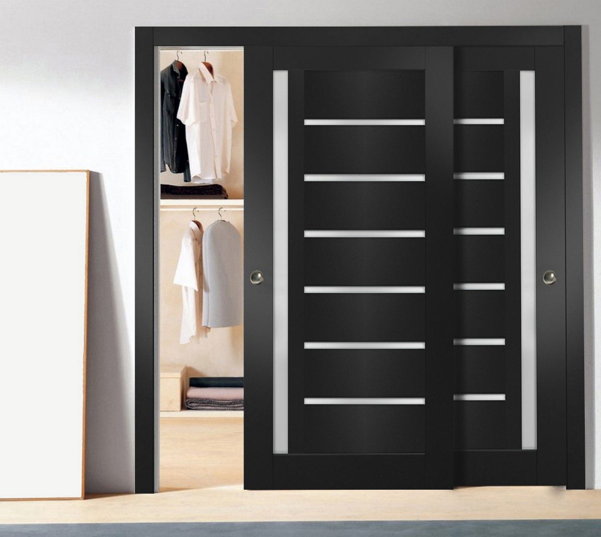 Linea 4088 Bypass door view 6