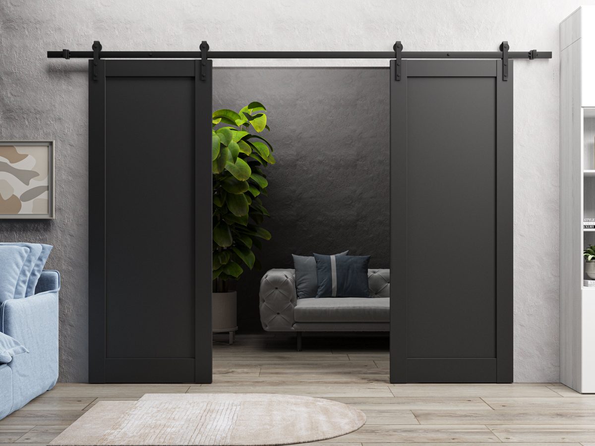 Linea 4111 Double Barn door view 2