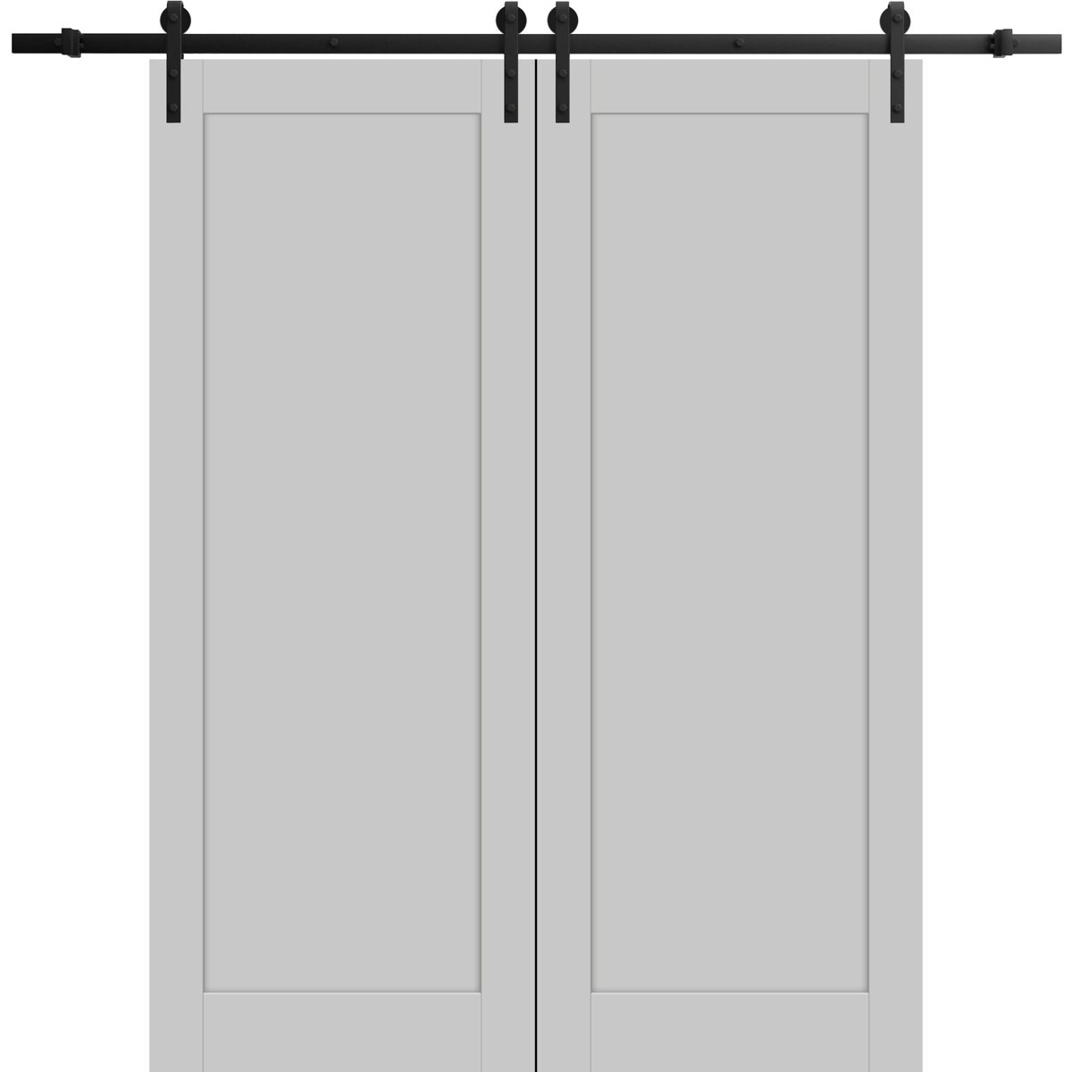 Linea 4111 Double Barn door view 5