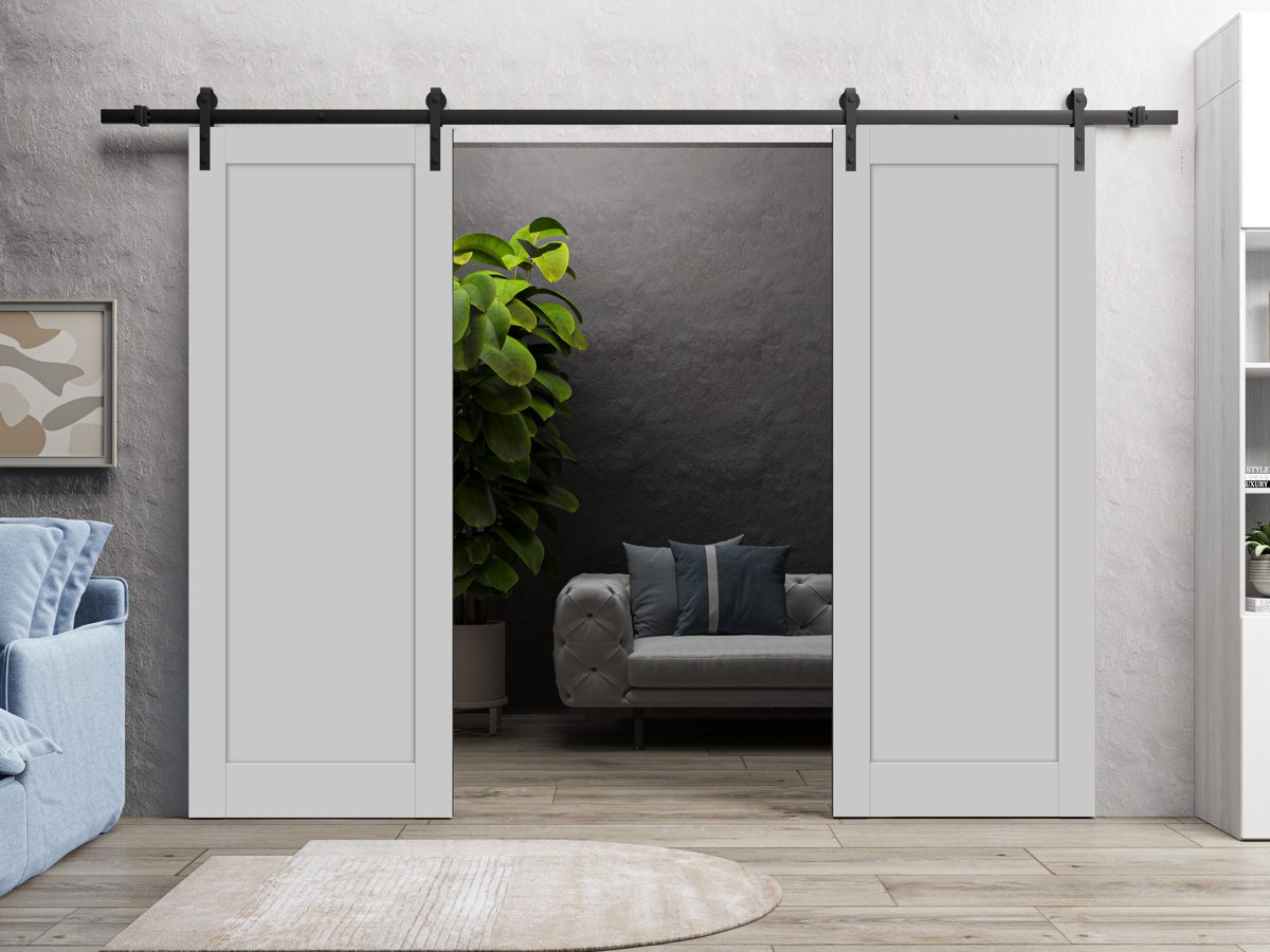 Linea 4111 Double Barn door view 6