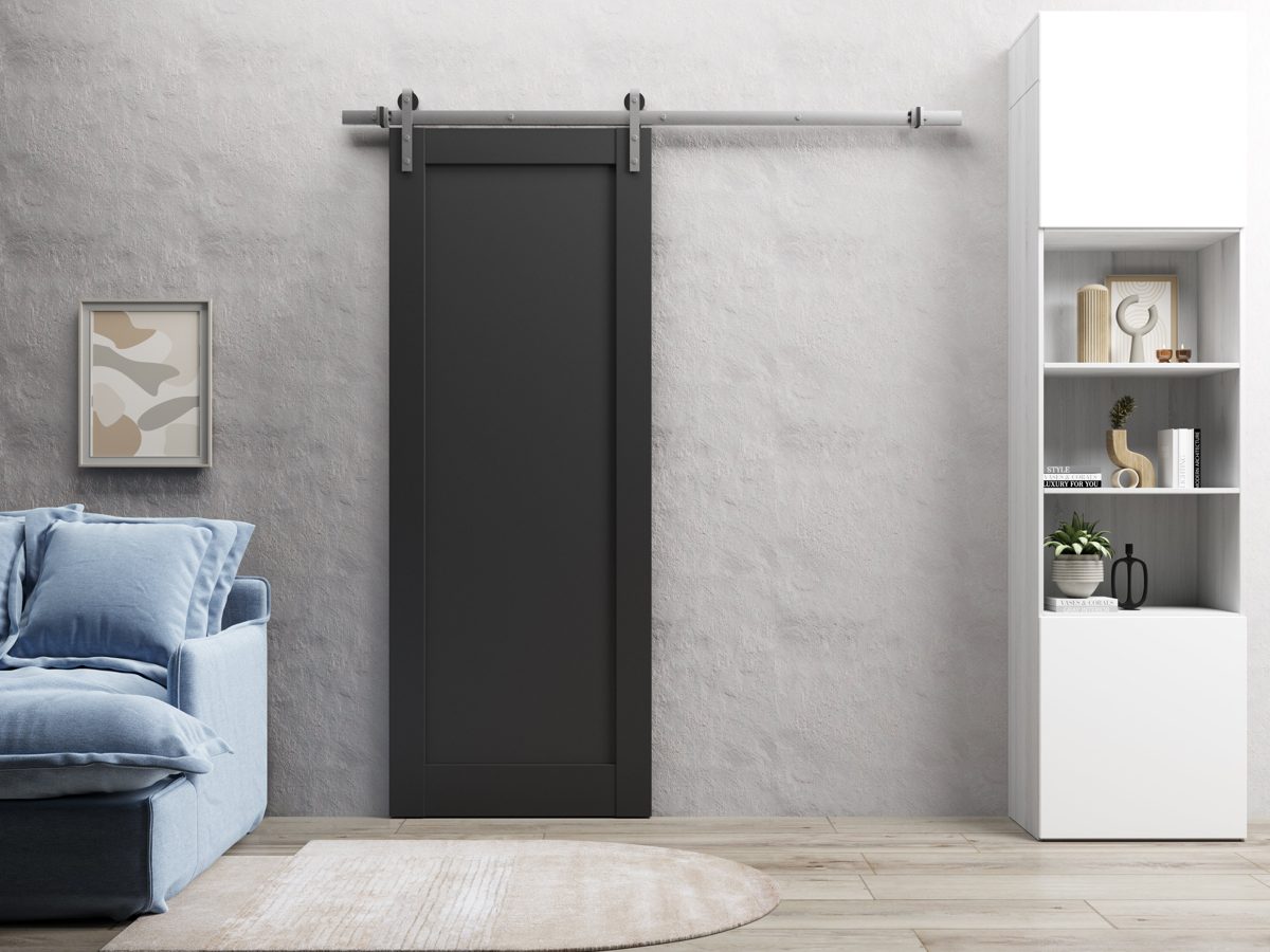 Linea 4111 Barn door view 2