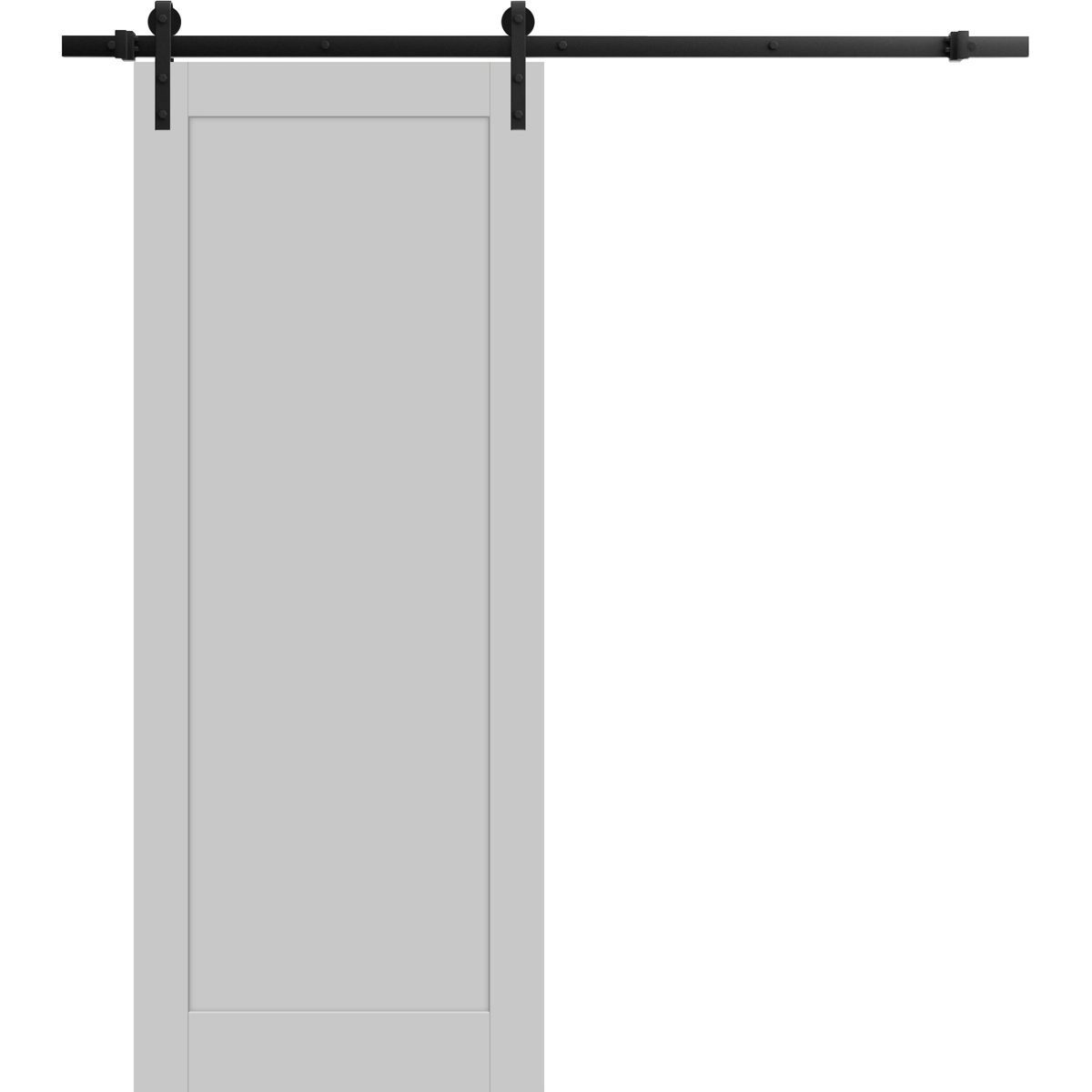 Linea 4111 Barn door view 5
