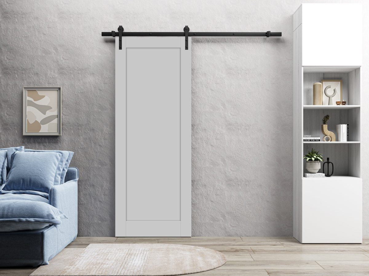 Linea 4111 Barn door view 6
