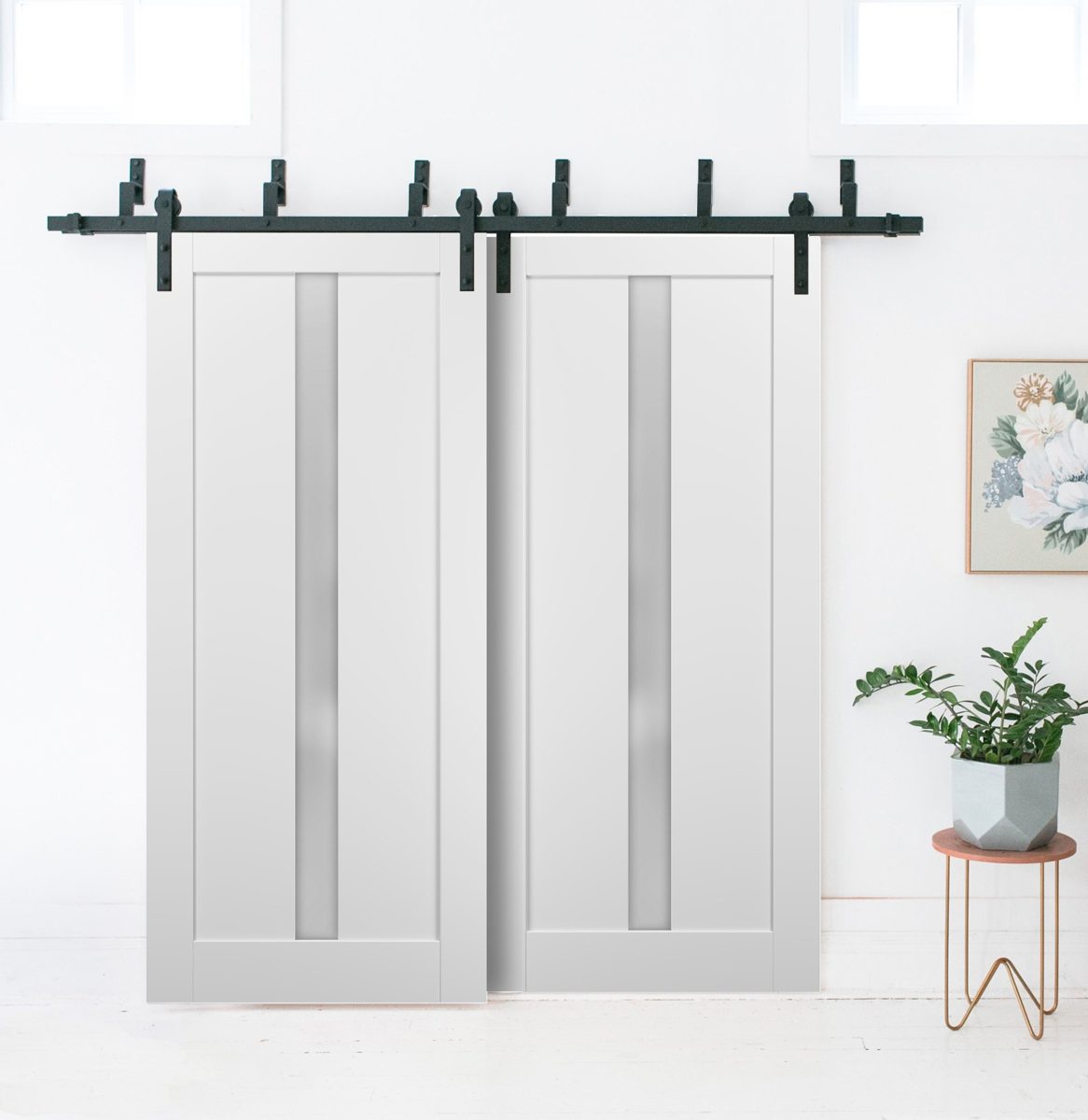 Linea 4112 Double Barn — Bypass door view 2
