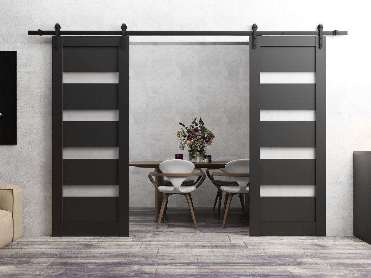 Linea 4113 Double Barn door view 2