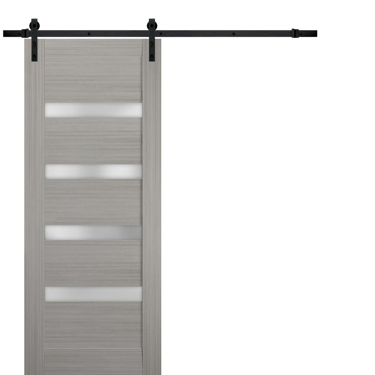 Linea 4113 Barn door view 5