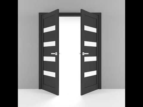 Linea 4113 Double French Swing door view 3