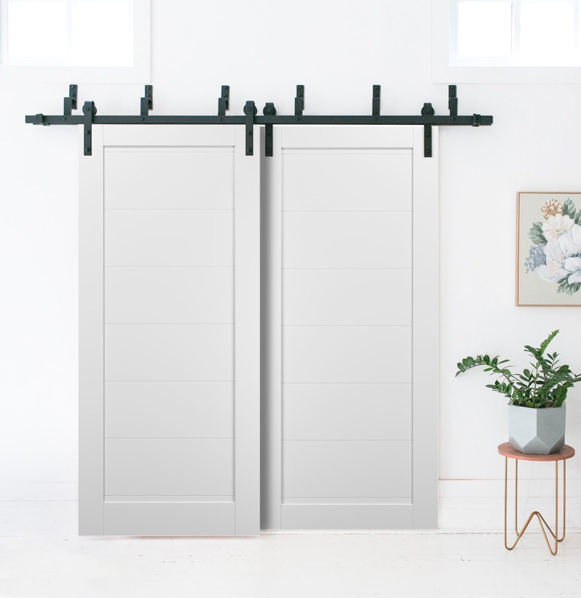 Linea 4115 Double Barn — Bypass door view 2