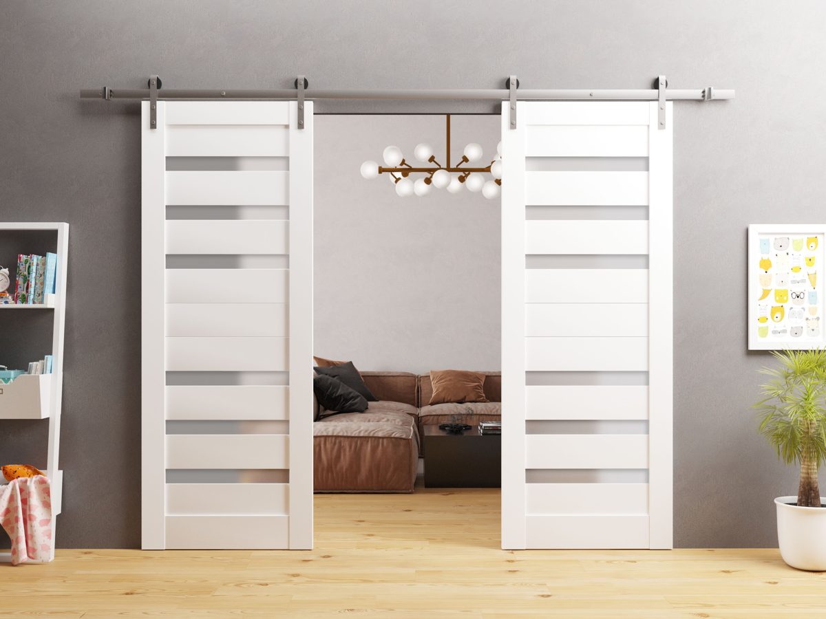 Linea 4266 Double Barn door view 2
