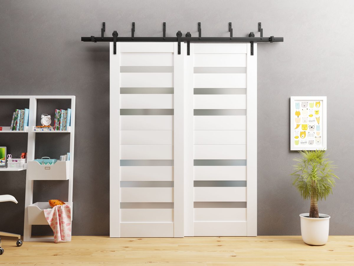 Linea 4266 Double Barn — Bypass door view 2
