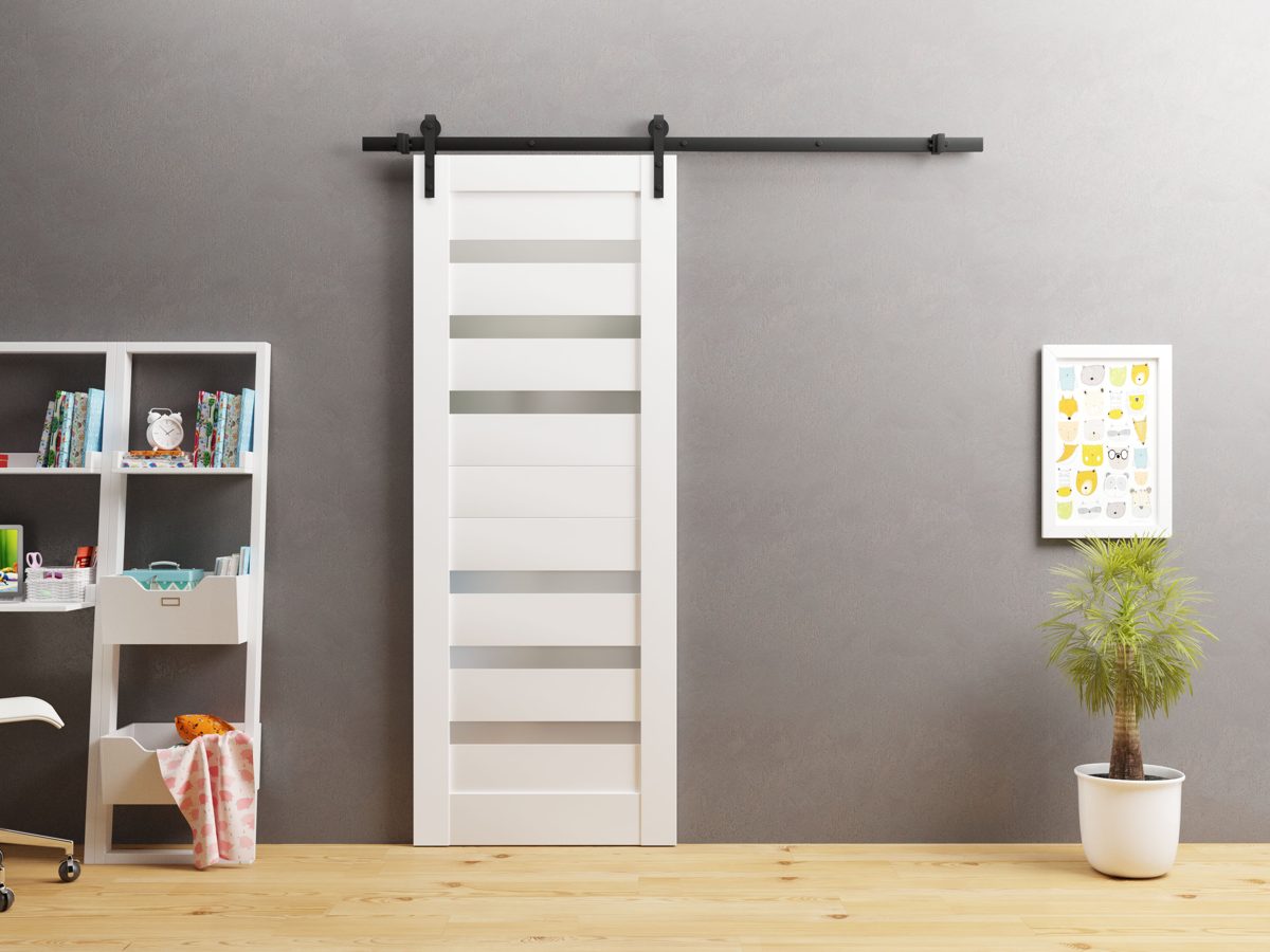 Linea 4266 Barn door view 2