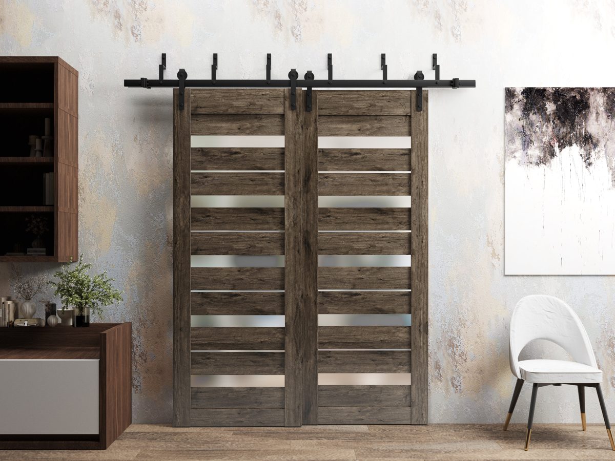 Linea 4445 Double Barn — Bypass door view 2