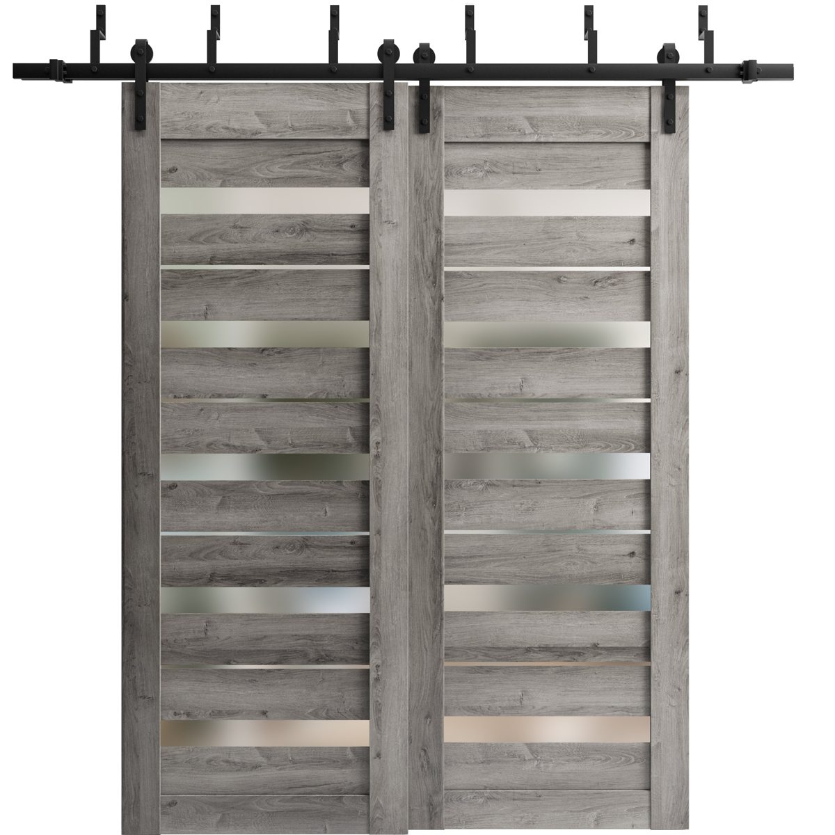 Linea 4445 Double Barn — Bypass door view 5