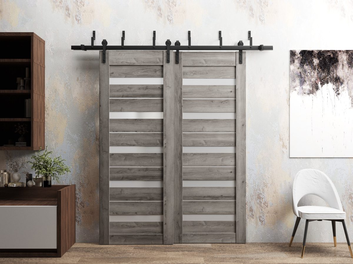 Linea 4445 Double Barn — Bypass door view 6